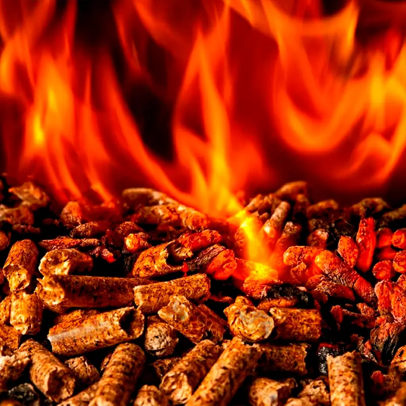 CISCO BIOFUEL PELLETS