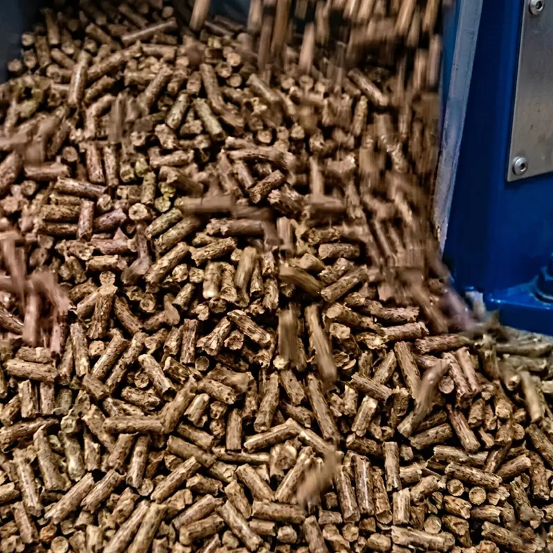 WOOD BIOFUEL PELLETS
