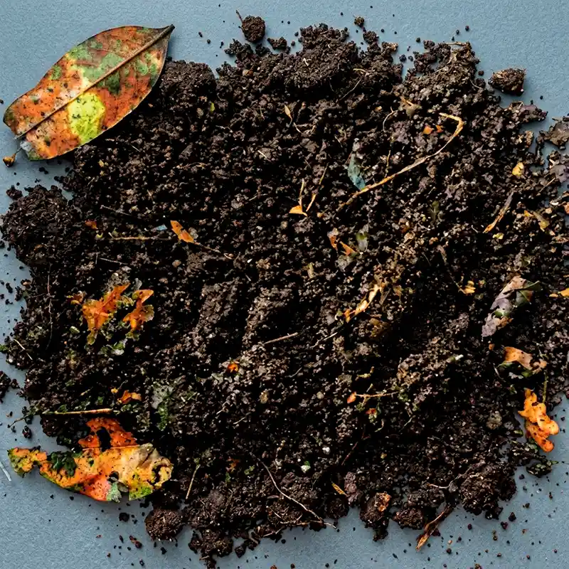 GALLINAZA FORTE PELLETS